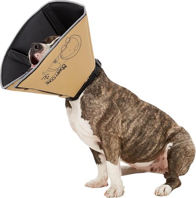 Comfy Cone Pet for Dogs, Cats, Medium, Tan M(Neck to Nose 8''), 