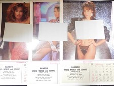 PLAYBOY VINTAGE CALENDAR RAINDOW COMICS HERMITAGE PA 1986 1987 1990 GOOD IN 2025