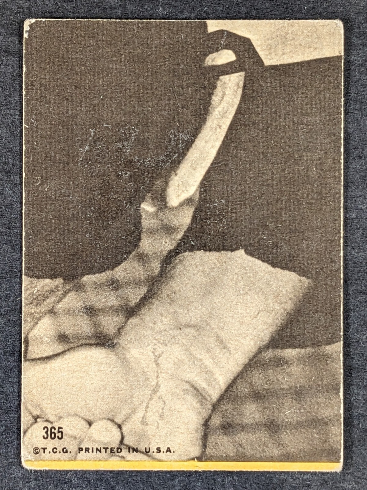 Picture 2