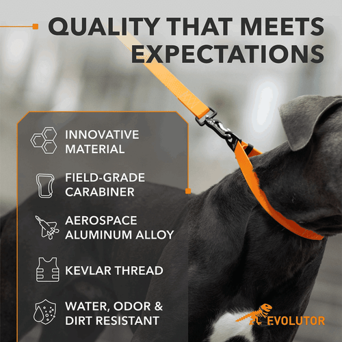 Orange Evolutor Extra Heavy Duty Dog Leash 10 Ft Durable Leash for Large Dogs - Picture 3 of 6
