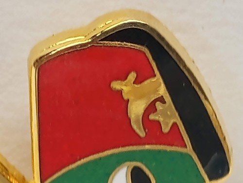 RARE RED HAT GOLD TONE GREEN TURTLE SHRINER CAP W/ EMBLEM 2" LAPEL PIN - 第 5/8 張圖片