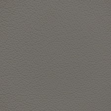 Nissan Taupe Leather Dye