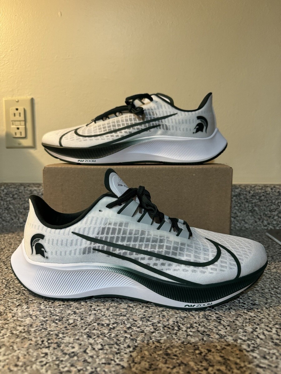 penn state pegasus 38