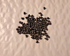 #2-56 X 1/8" BUTTON HEAD SOCKET CAP SCREW F835 STEEL BLACK OXIDE W/NYLON PATCH