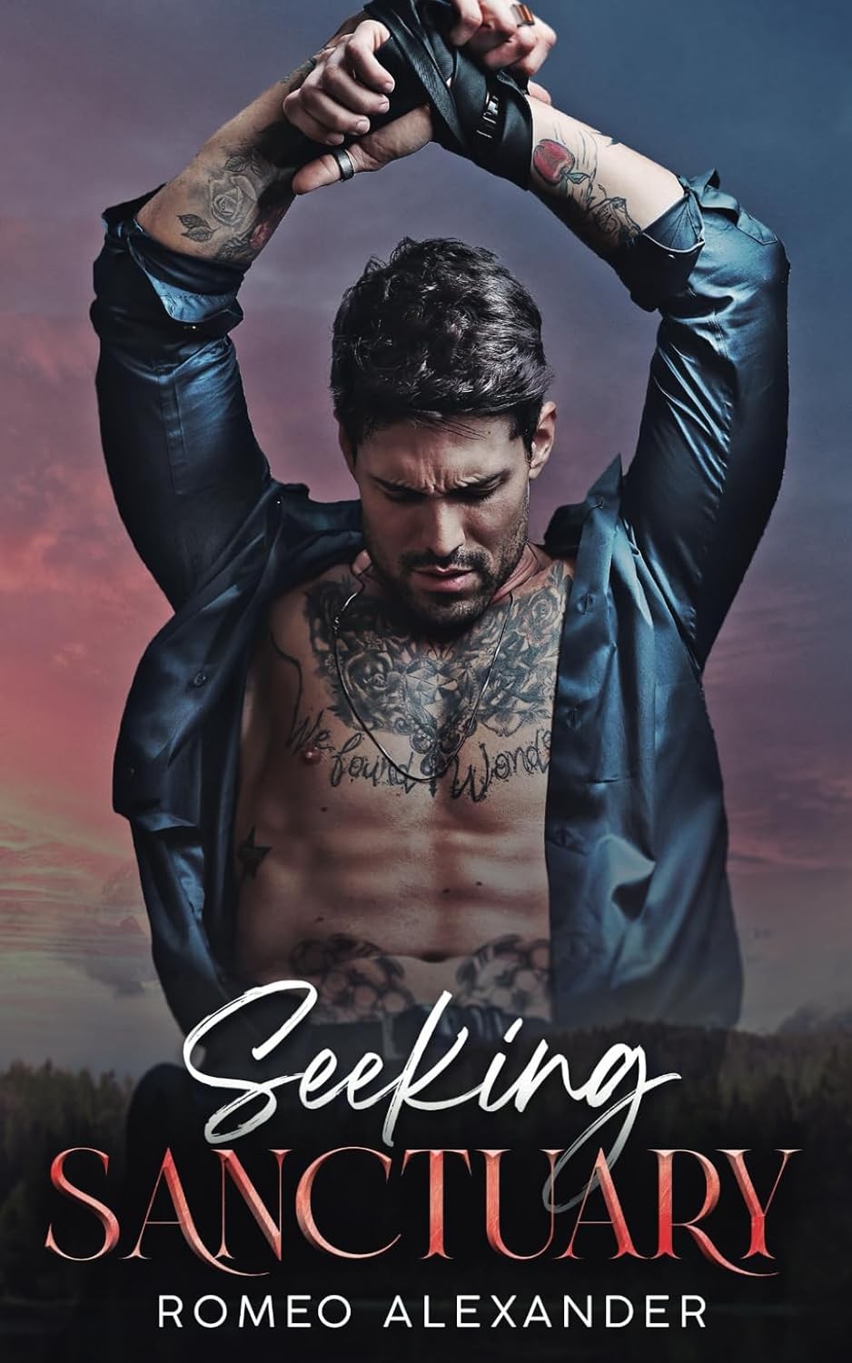 Seeking Sanctuary (Men of Fairlake) - Image 2