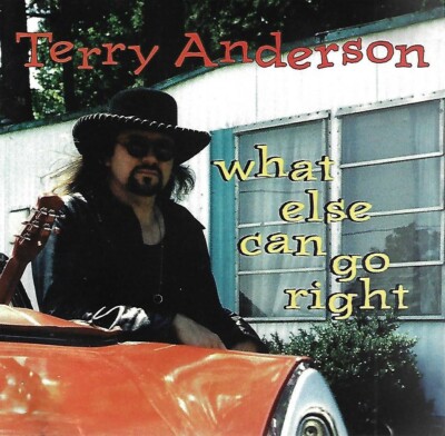 What Else Can Go Right by Terry Anderson (CD, 1996)