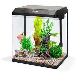 JumblPets Kit d'aquarium de poisson de départ, kit de réservoir de poisson en verre (2 - Oui. Gallon.