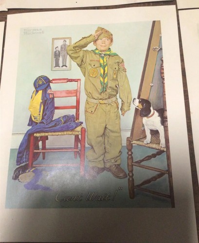 Lotto memorabilia boy scout vintage stampe BSA coppe normanne calze camicia libri pino - Foto 14 di 24