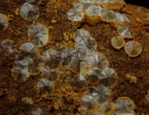 WAVELLITE on ORDOVICIAN SANDSTONE -- Czech Republic - Cerhovice - Třenice /pk067 - Picture 12 of 16