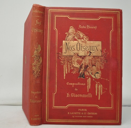 ORNITHOLOGIE THEURIET  Nos oiseaux Giacomelli  launette 1887   - Bild 1 von 8
