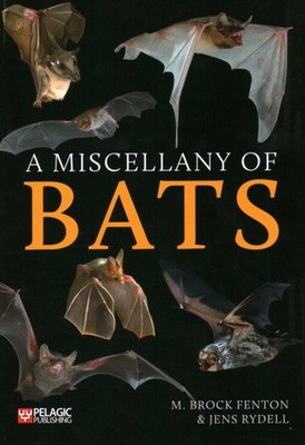A Miscellany of Bats by Jens Rydell (Paperback Book)