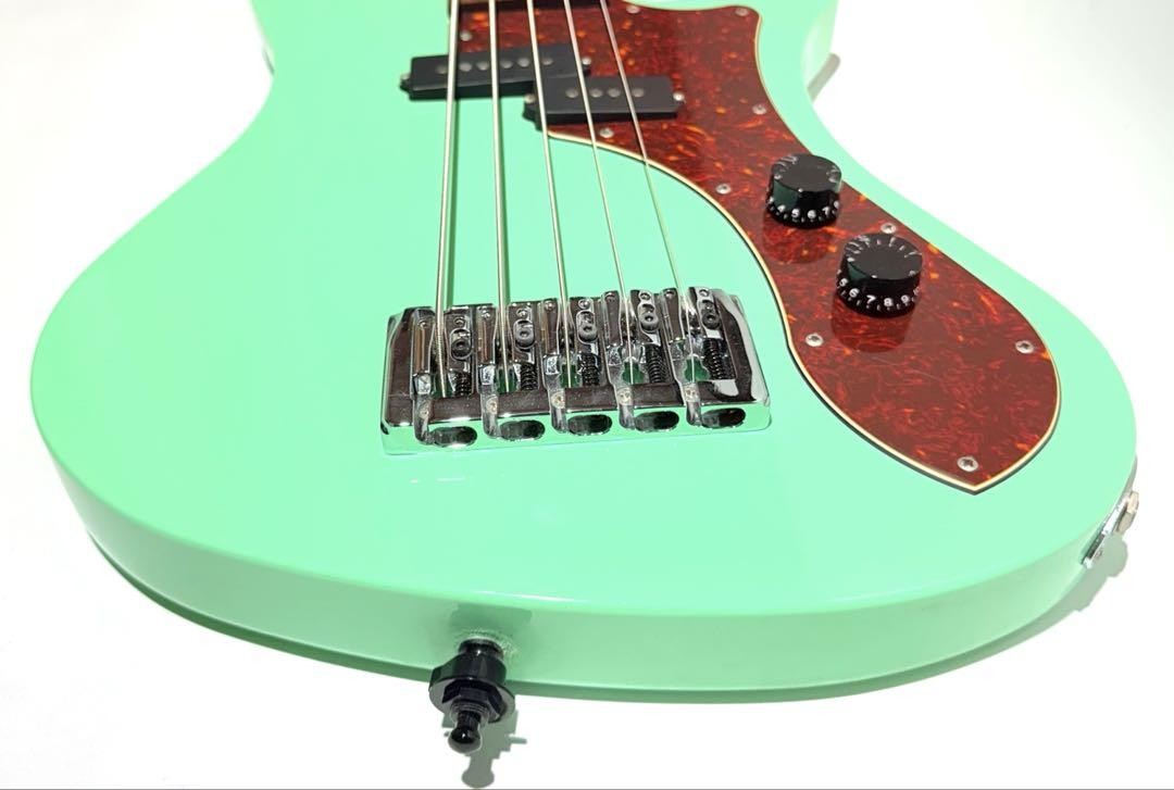 Ryoga SKATER A-501 SP 5-string bass Safe Packing! | eBay