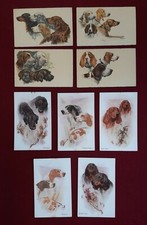 LOTTO CARTOLINE RAZZE CANI