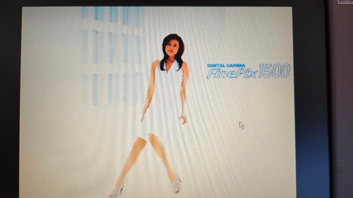 NORIKA FUJIWARA - super seltene Fujiflm Finepix DEMO CD Screensaver Software! - Afbeelding 5 van 8