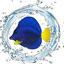 coral-reef-equipment
