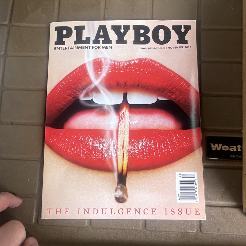 Playboy Magazine November 2013 The Indulgence Issue Illustrated