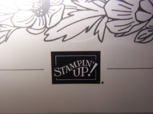 Stampin' Up NUOVO MAI USATO! ANGOLO IN FIORE Fotopolimero Set di francobolli 8 pezzi 164959 - Foto 4 di 14