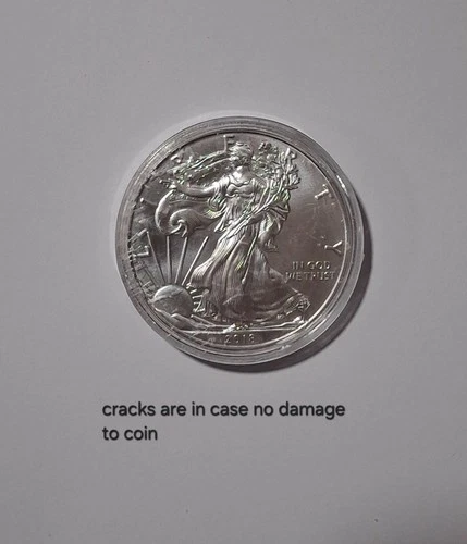 2018 $1 American Eagle 1 oz Silver Dollar Coin Walking Liberty listing #77hnn
