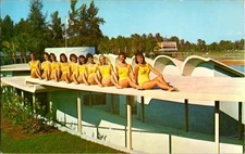 Spring Hill Florida FL : RISQUE - WEEKI WACHEE TOURIST ATTRACTION o/25 BI1425