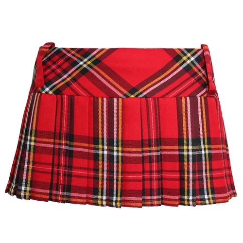 NEW WOMENS GIRLS SCHOO TARTAN CHECK PLEATED SHORT MINI MICRO HIPSTER SKIRT 12'' - Picture 4 of 7