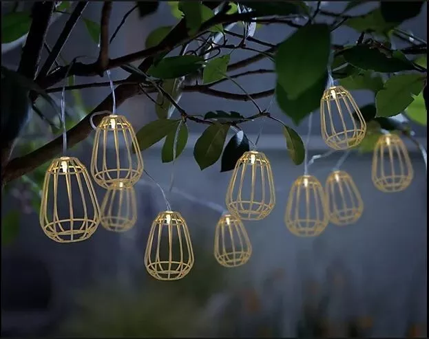 Solar 2024 cage lights