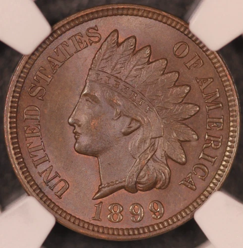 1899 INDIAN HEAD CENT 1¢ NGC MS65 BN