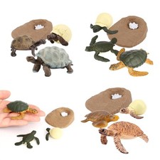 Nature Sea Animal Cycle Figures Model Kids Child Toys