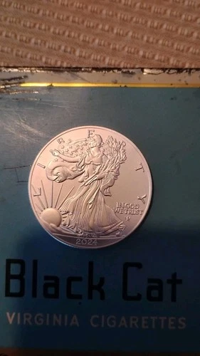2024 1 oz american silver eagle coin bu