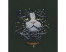 STICKBILD - DER KATZEN-LIEBLING - ZÄHLMUSTER - STICKPACKUNG - 20 x 21 cm 