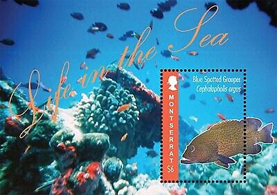 Montserrat - "Life In The Sea" - Souvenir Sheet MOT1205S