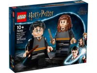 Lego Harry Potter Harry Potter™ & Hermine Granger™ (76393)
