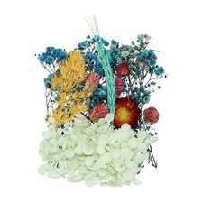 Natural Dried Flower Set, Dried Pressed Flowers Blue 
