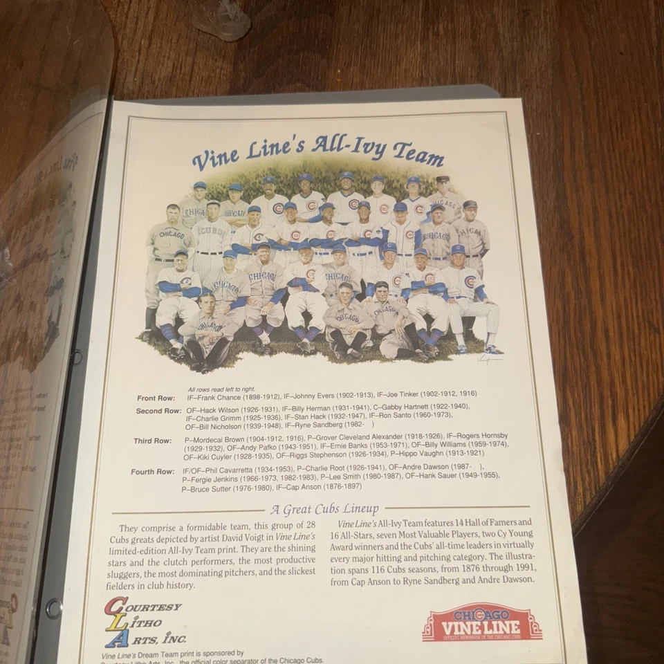 Vintage Chicago Cubs MLB All Ivy Team Picture Vine Line 9” X 11” Custom Framed - Image 2 of 4