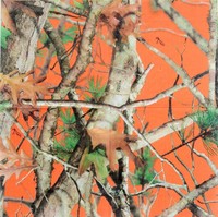 Orange Next Camo Beverage Napkins Camouflage Birthday Party Supply Shower (16... on sale Orange Next Camo Beverage Napkins Camouflage Birthday Party Supply Shower (16... on sale