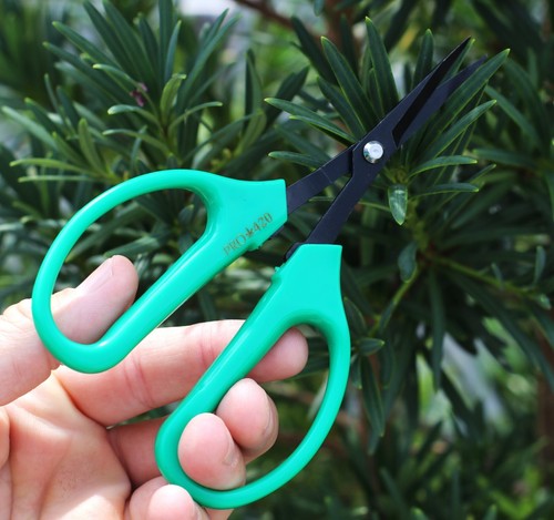 Professional Garden Shears-PRO 420 Classic Bonsai Manicure & Pruning Scissors - Picture 9 of 13