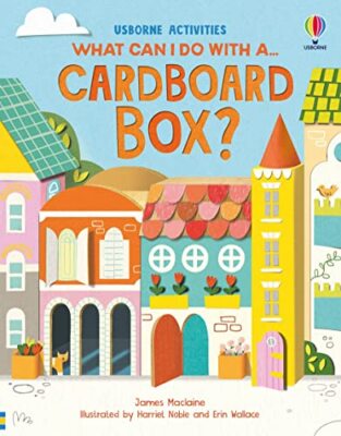What Can I Do With a Cardboard Box? by James Maclaine 9781805310037 NEW