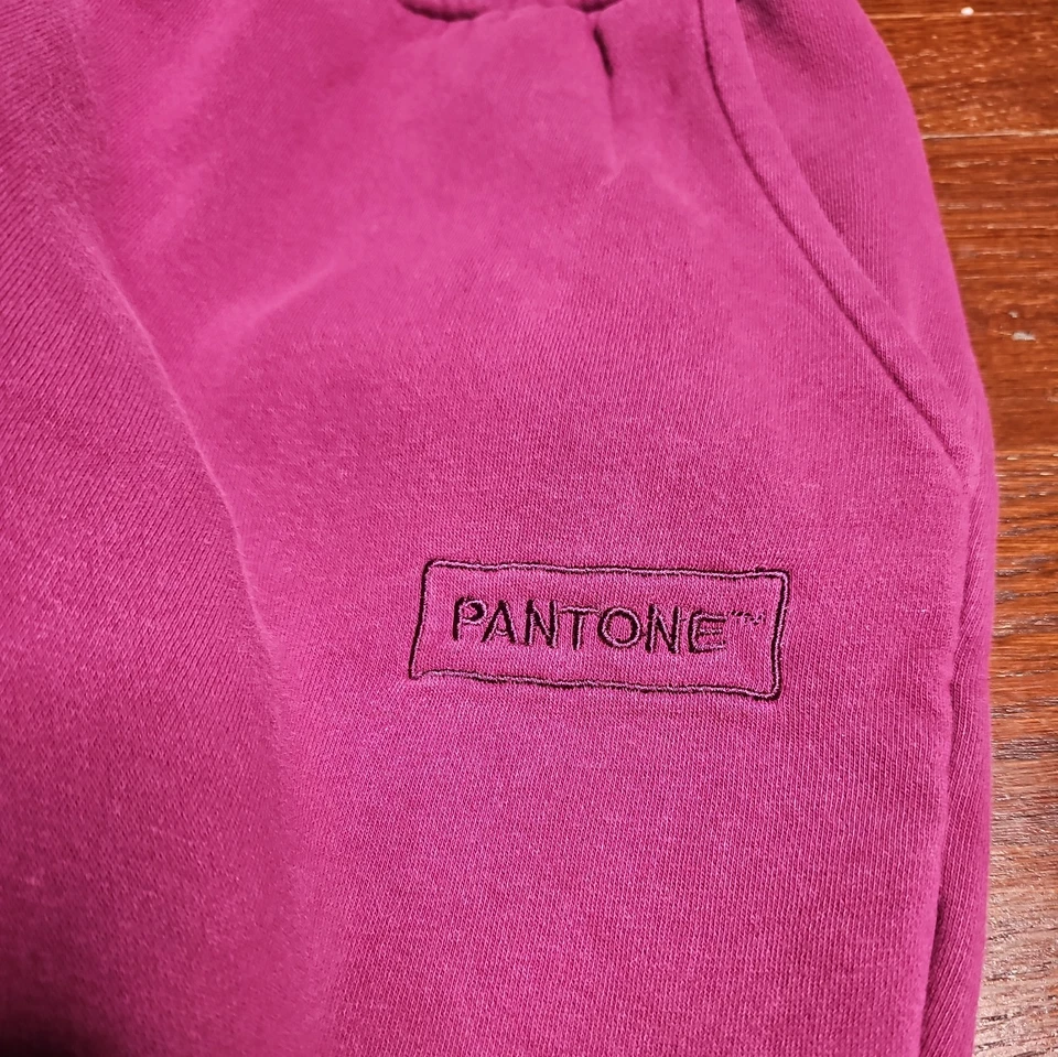 Forever 21 Pantone Women's Plum Purple Fleece Jogger SweatPants LARGE  - Image 3 of 4