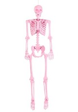 Poseable Crazy Bones Skeleton in Pink Decoration