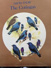 The Cotingas: Bell Birds, Umbrella Birds and Their Allies