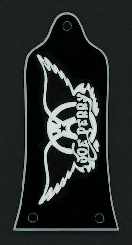 GUITAR TRUSS ROD COVER - Engraved Etched EPIPHONE EPI - Aerosmith JOE PERRY