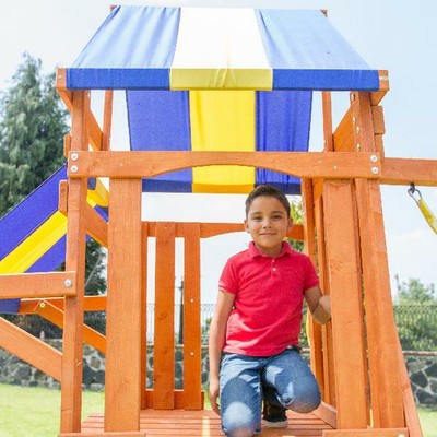 Big Backyard Ashberry Ii