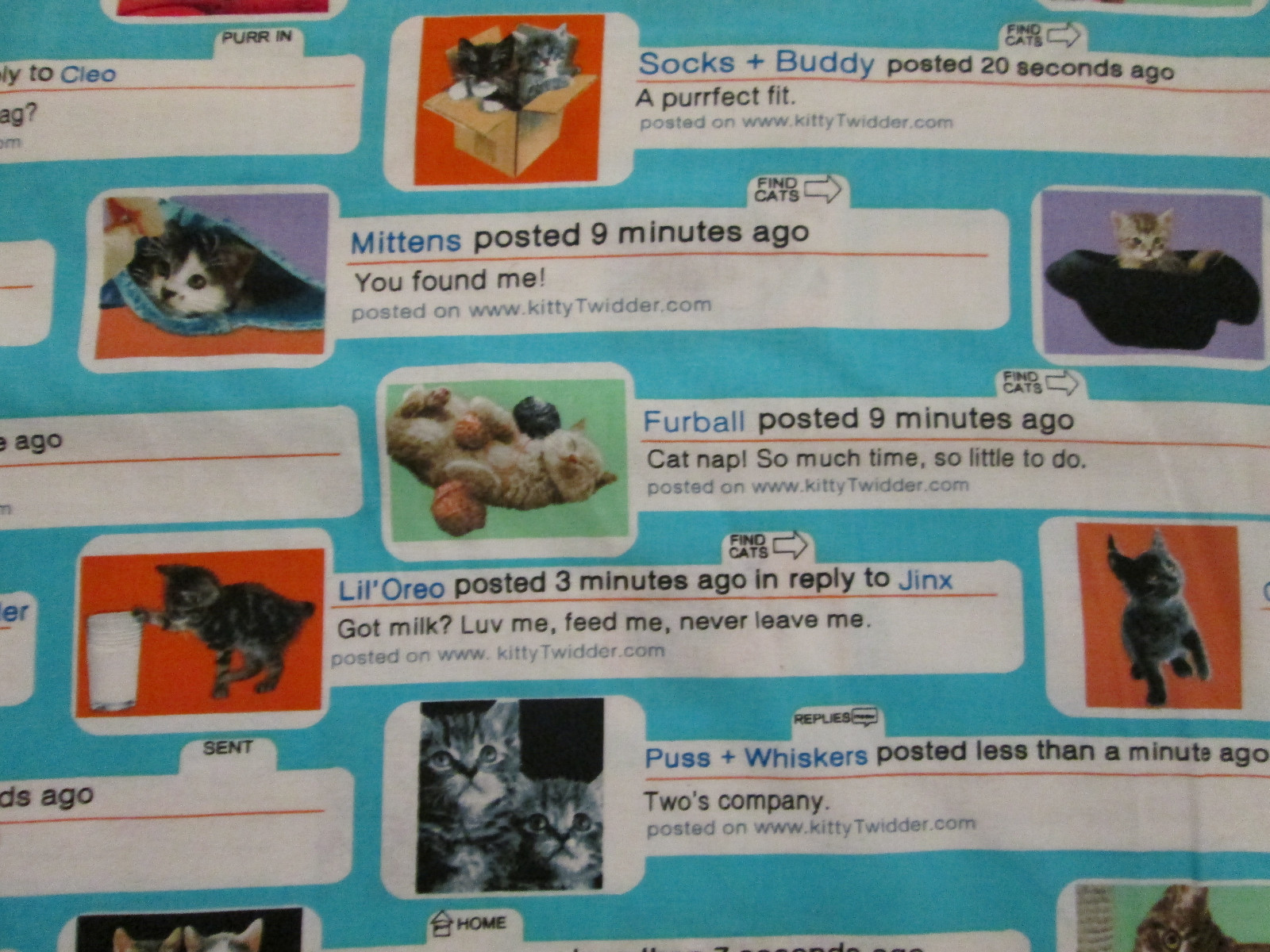 CAT CATS TWITTER INSTAGRAM FACEBOOK MESSAGES COTTON FABRIC FQ