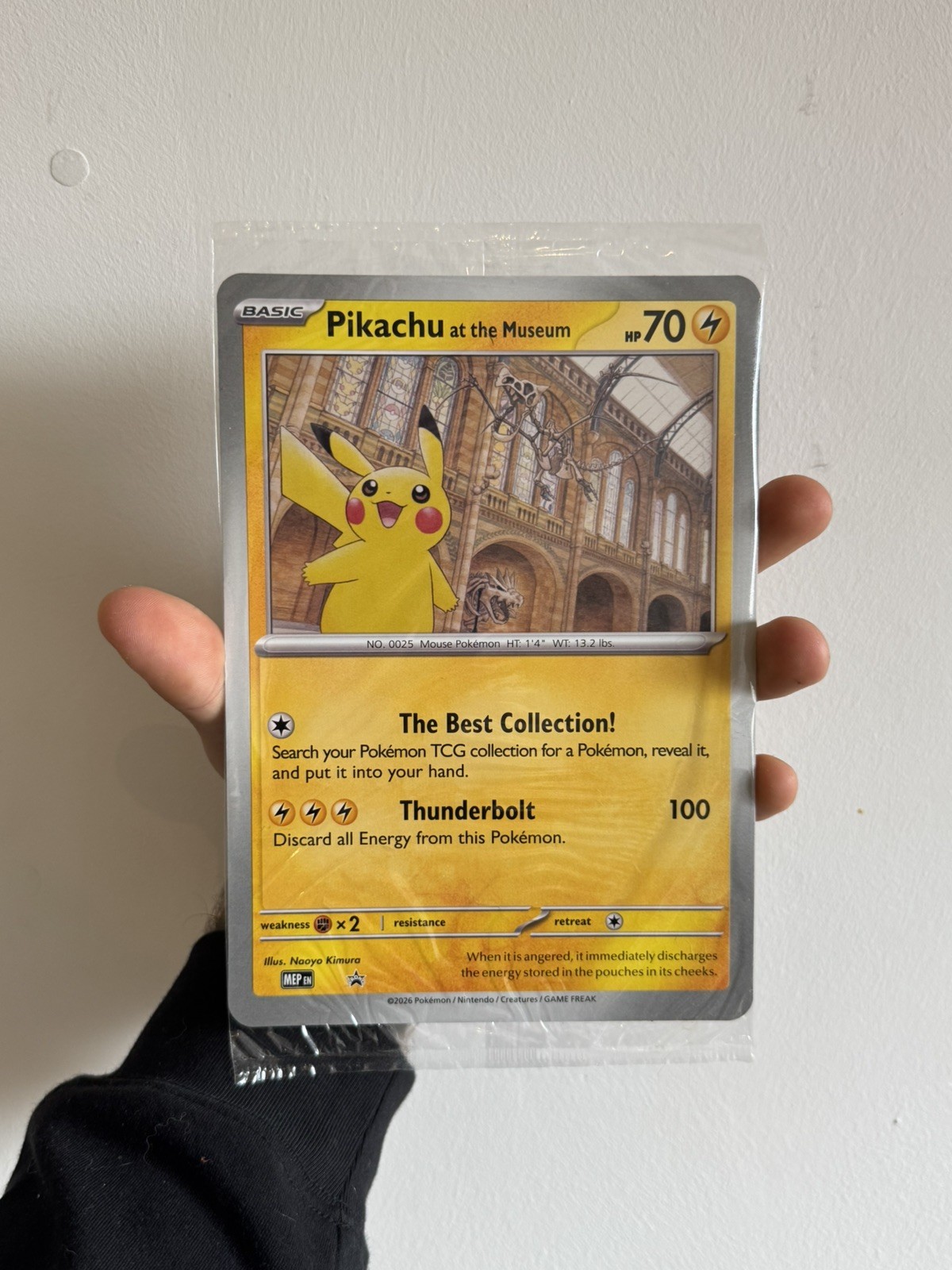  Pokemon Pikachu at the Natural History Museum Sealed Jumbo Promo SVP