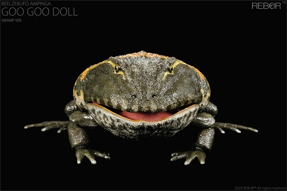 REBOR 1/2 Beelzebufo Action Figures Frog Animal Model Decor Adult Kids Toys Gift - Image 4 of 4