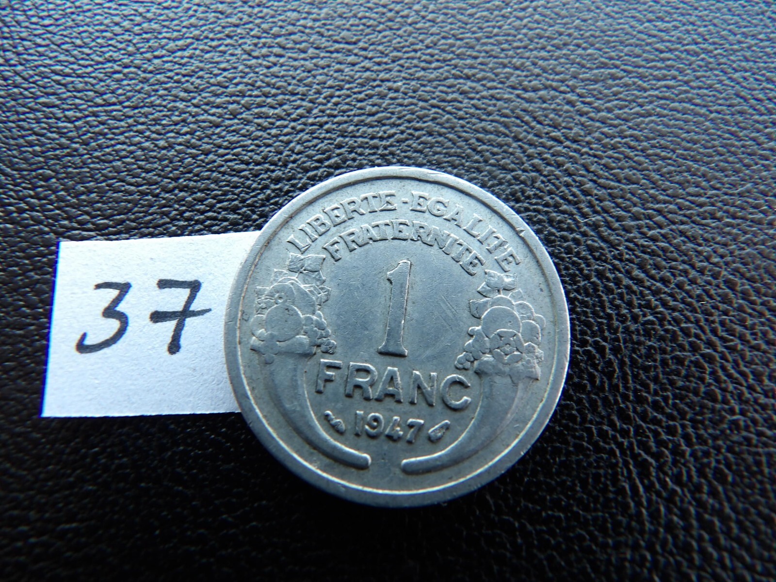 Picture 7 of 7