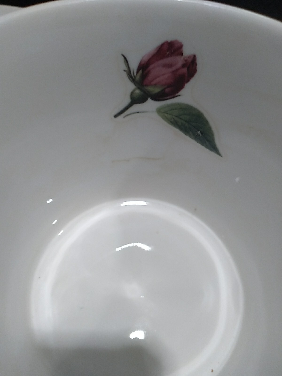 Picture 6 of 6