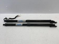 2016-2020 Honda Pilot Rear Left Right Trunk Lid Lift Shock Support Set 1494 OEM