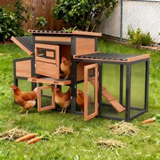 Weatherproof Wooden Chicken Coop with Openable Roof and Sliding Window,Orange