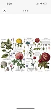 Re-Design with Prima Transfer - Vintage Botanical