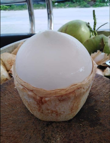 Coconut Meat Remover Tool Young Coconut Opener Water Serving Gadget 10 Inch. - Picture 7 of 12